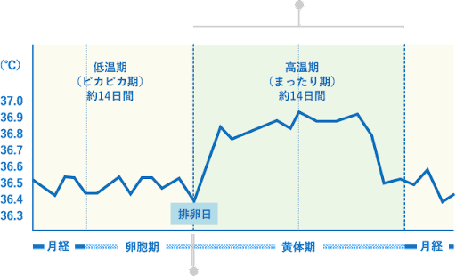 生理前の体温とは 生理前に体温が37 を超える原因 何日前から体温が上がるのか解説 ラク痩せラボ